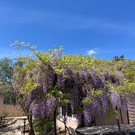 مبيت وإفطار Sainte-Croix-de-Quintillargues Le Clos Des Olivettes المظهر الخارجي الصورة