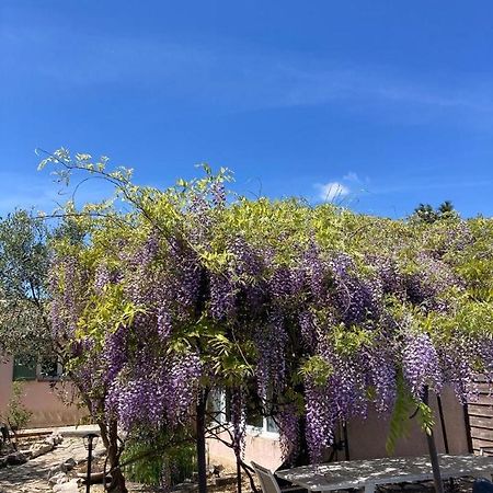 Sainte-Croix-de-Quintillargues Le Clos Des Olivettes المظهر الخارجي الصورة
